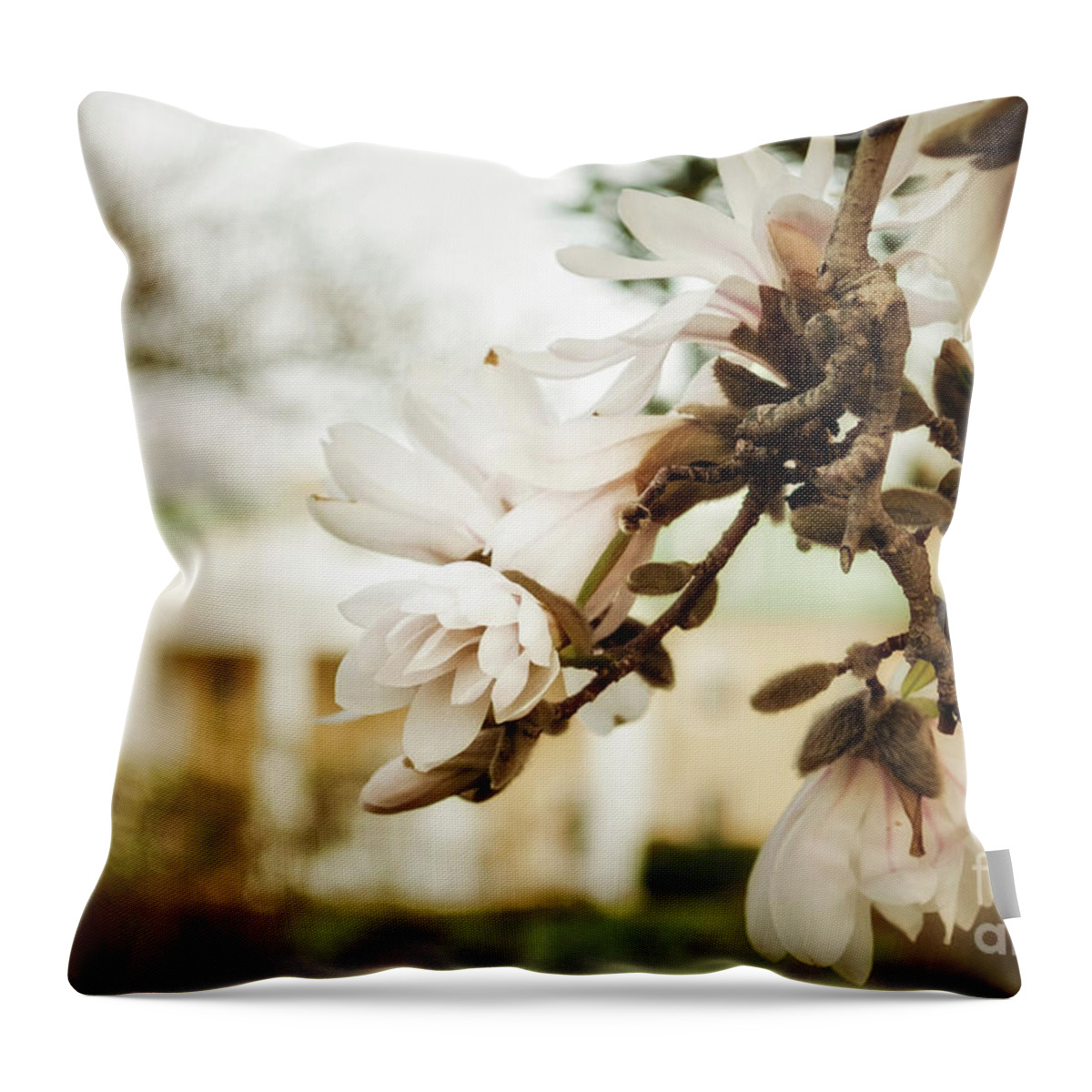 Floral Throw Pillow featuring the photograph Bellevue Mansion Botanical / Nature / Floral Photograph by PIPA Fine Art - Simply Solid
