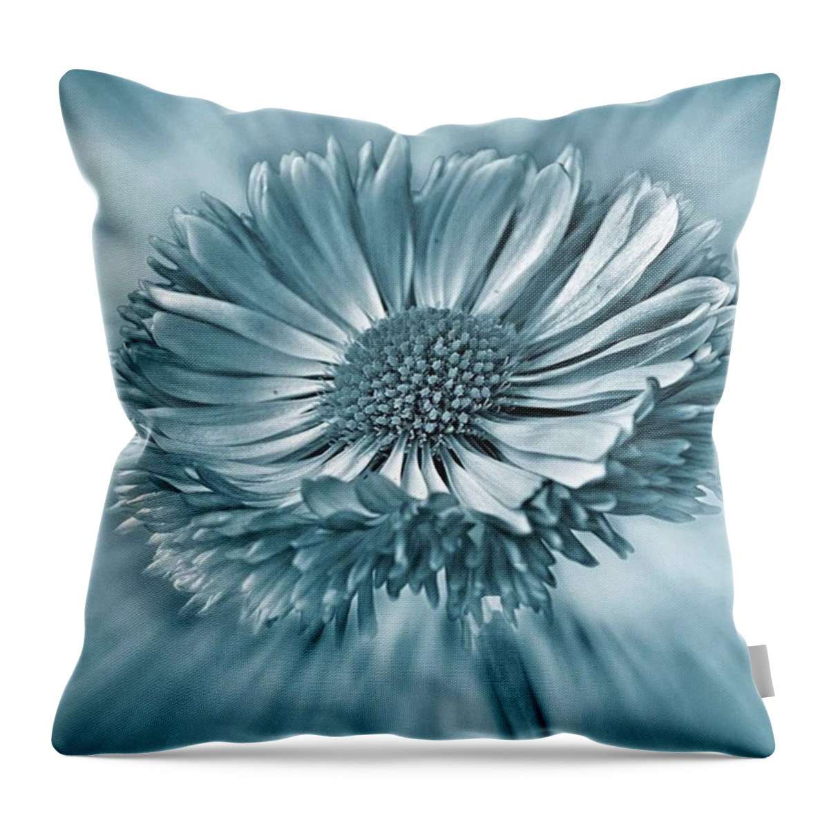 Beautiful Throw Pillow featuring the photograph Bellis In Cyan 
#flower #flowers by John Edwards