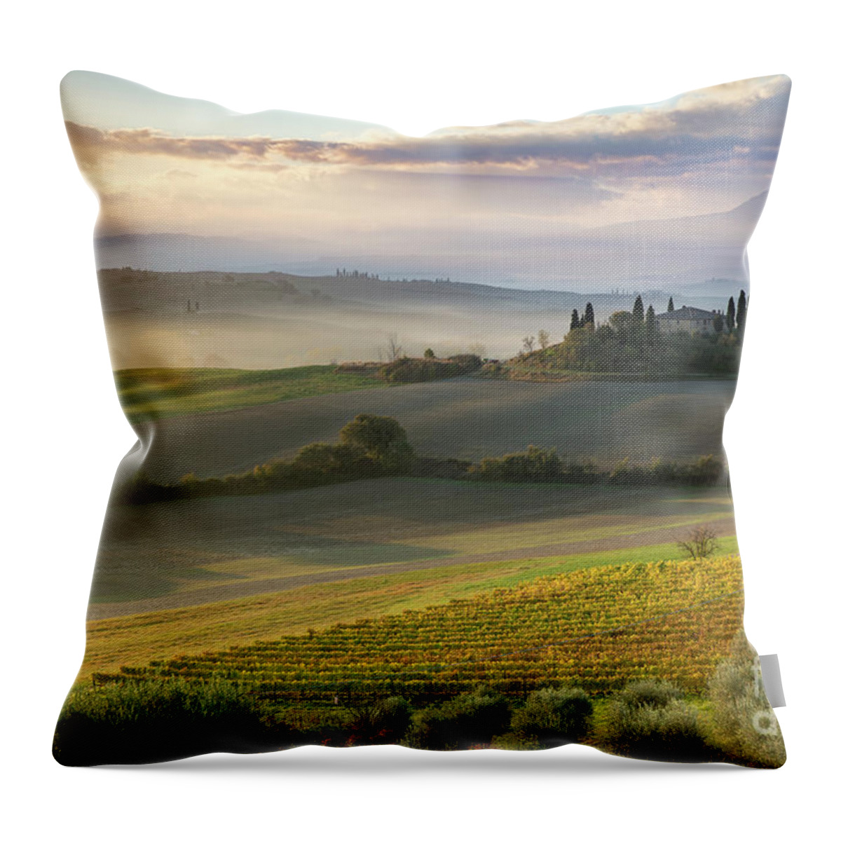Tuscany Throw Pillow featuring the photograph Belvedere Morning by Brian Jannsen