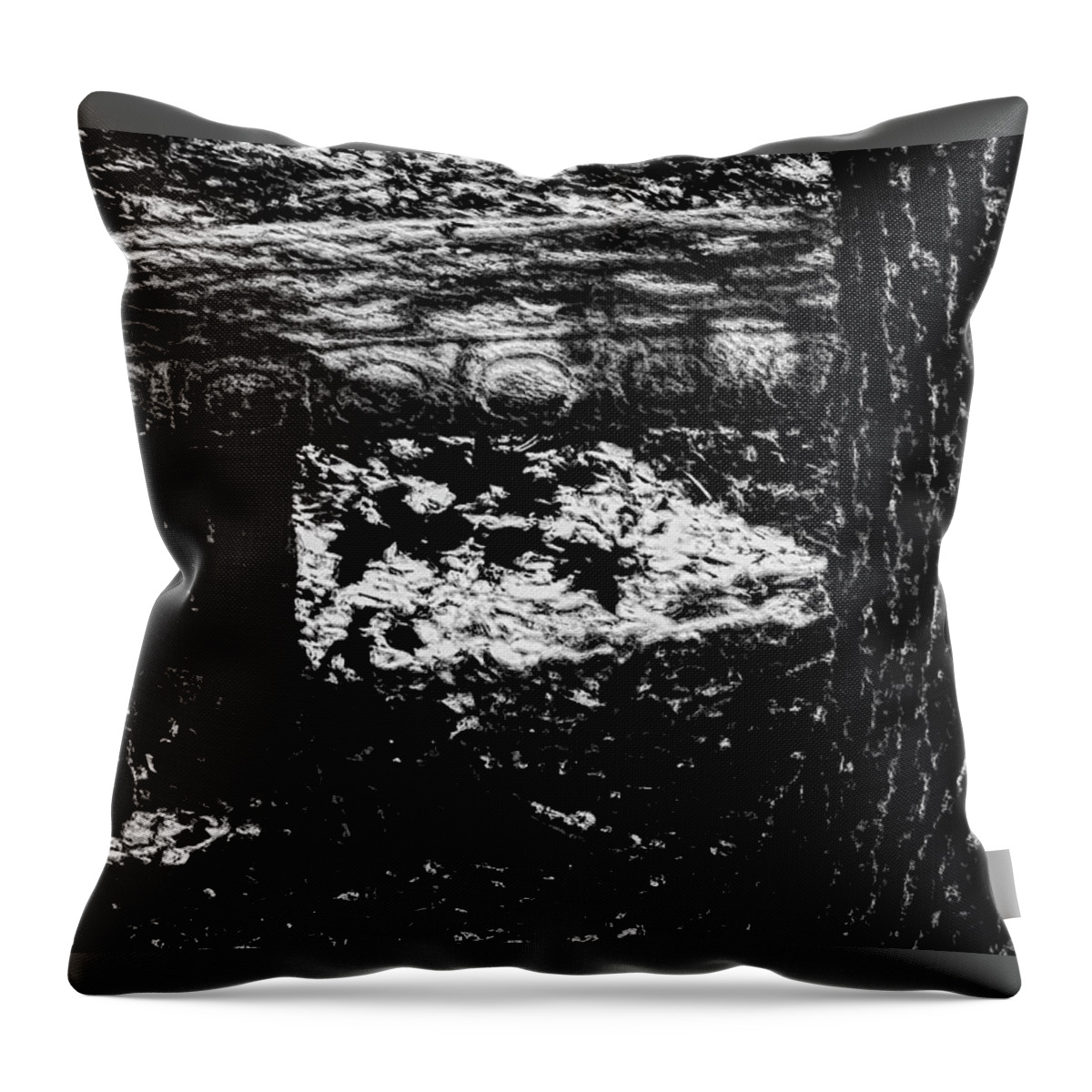 Bench Throw Pillow featuring the photograph Bench Loves Tree by Gina O'Brien
