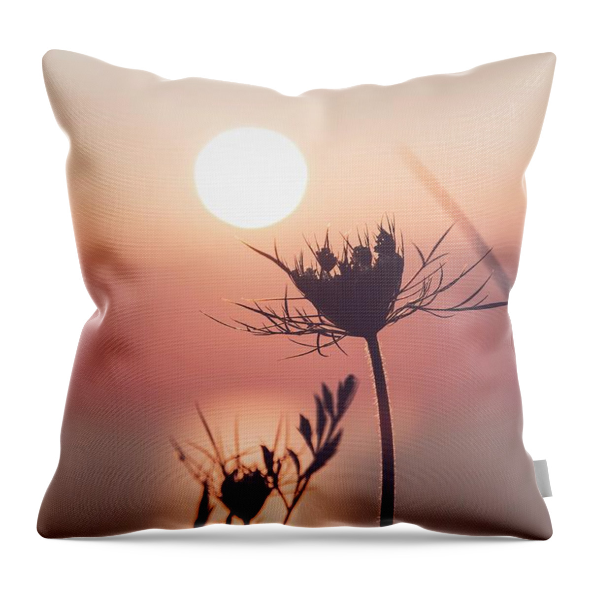 Lake Throw Pillow featuring the photograph Bend to the light by Terri Hart-Ellis