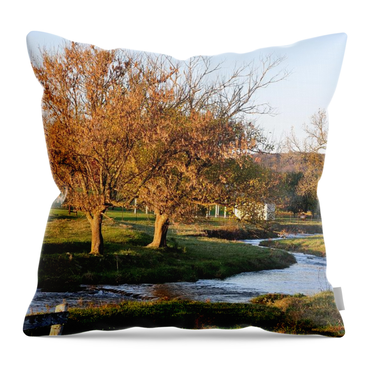 Landscapes Throw Pillow featuring the photograph Bending Creek by Jan Amiss Photography