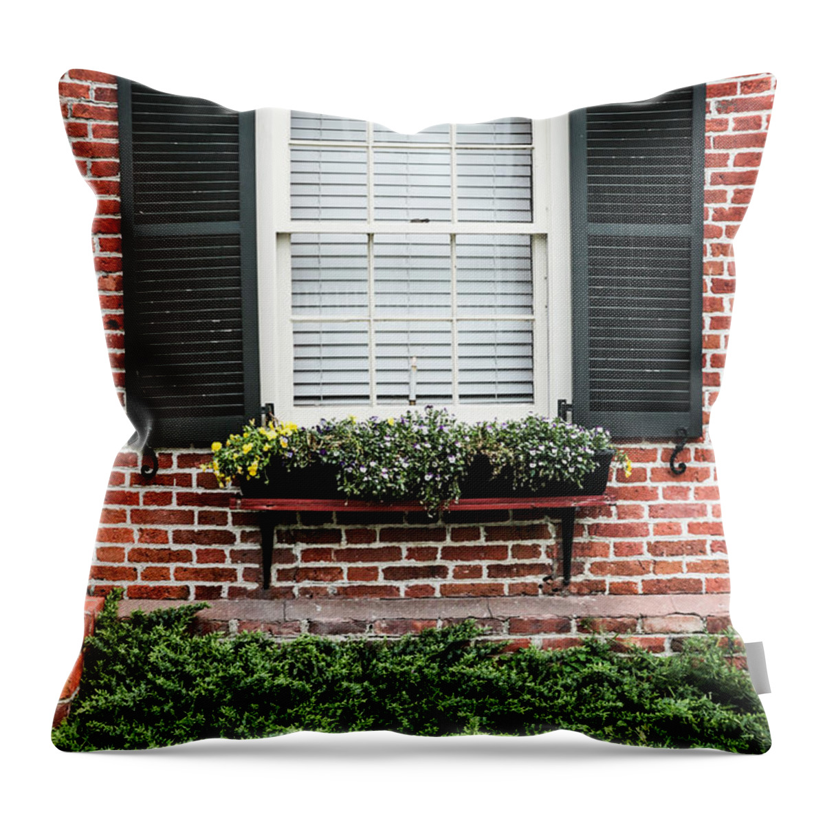 Architecture Throw Pillow featuring the photograph Benjamin Smith House WIndow by Thomas Marchessault