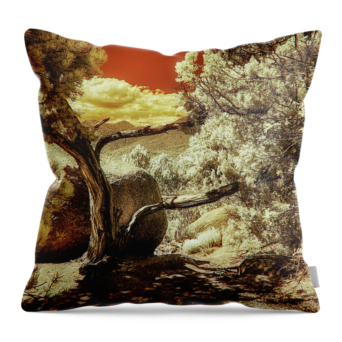 Tree Throw Pillow featuring the photograph Bent, But Not Broken by Michael McKenney