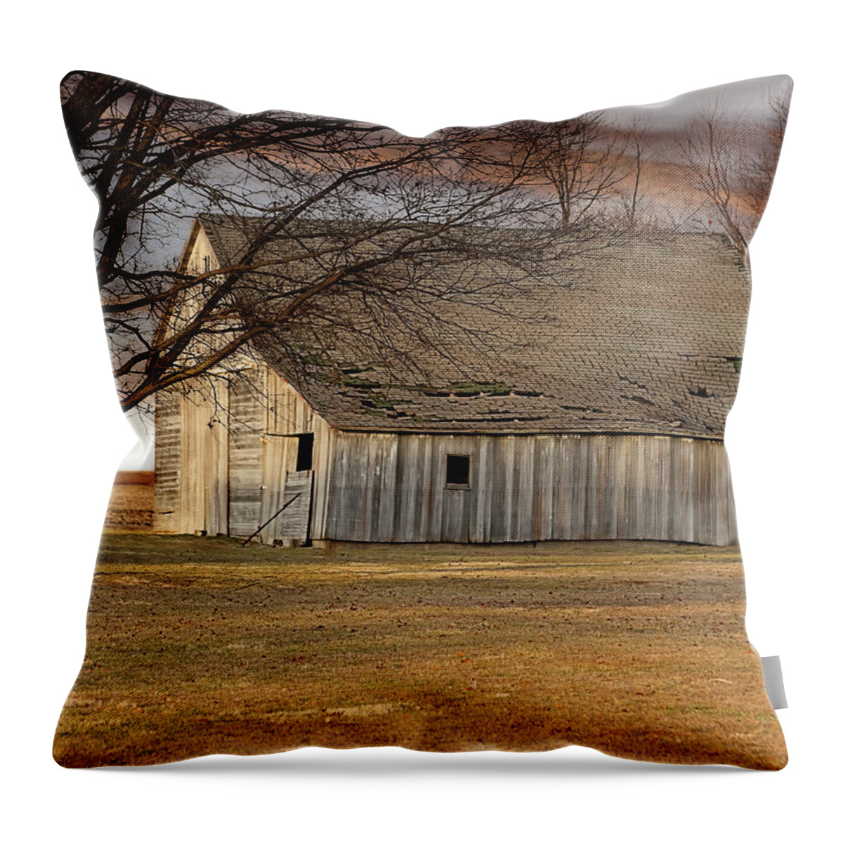 Farm Throw Pillow featuring the photograph Bent But Unbroken by Theresa Campbell