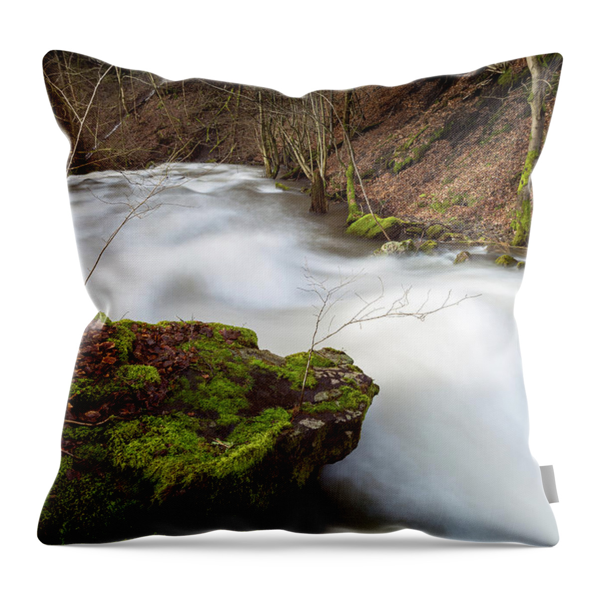 Outdoors Throw Pillow featuring the photograph Bere, Harz by Andreas Levi
