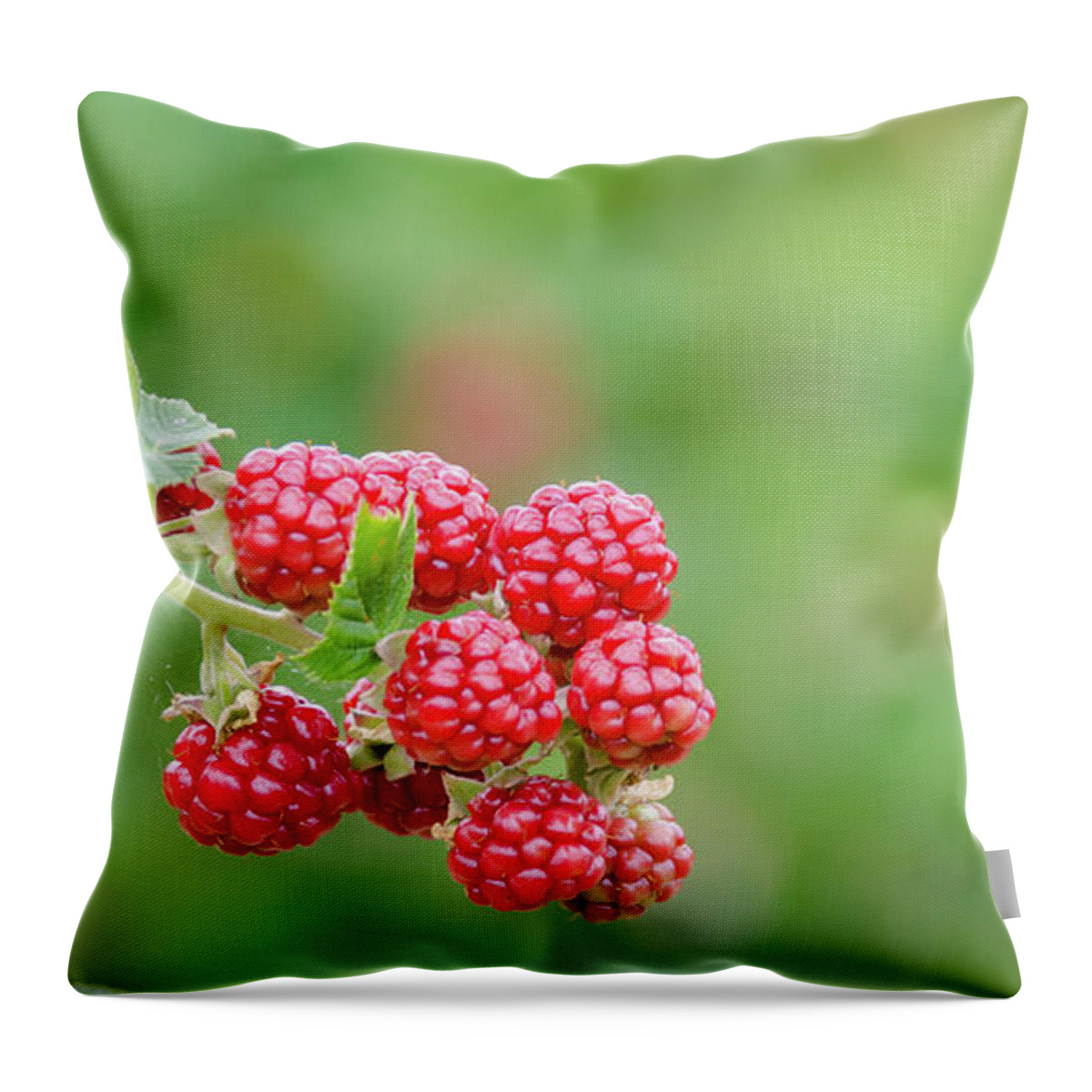 Red Throw Pillow featuring the photograph Berries by Andrea Anderegg