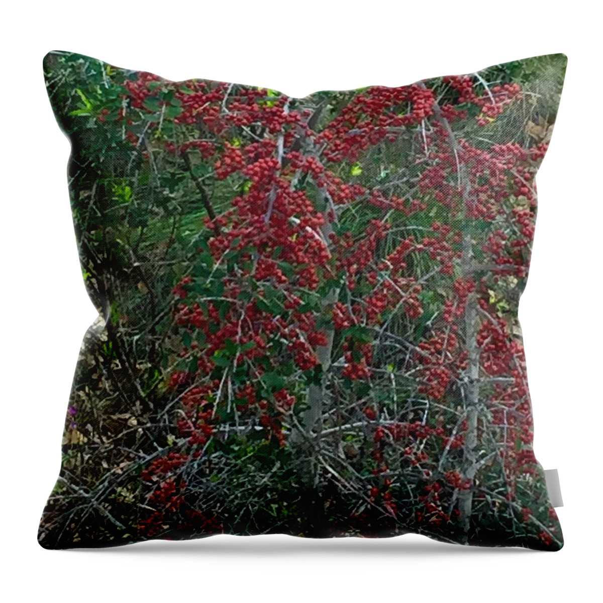 Nature Throw Pillow featuring the photograph Berries in Styx by Etta Harris