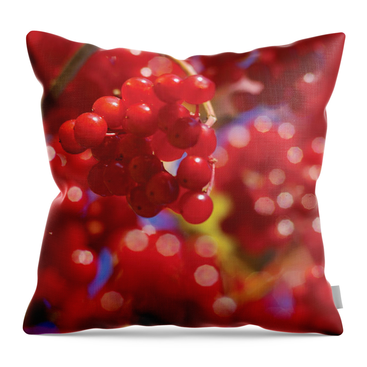 Red Throw Pillow featuring the photograph Berry Berry Red-2 by Steve Somerville