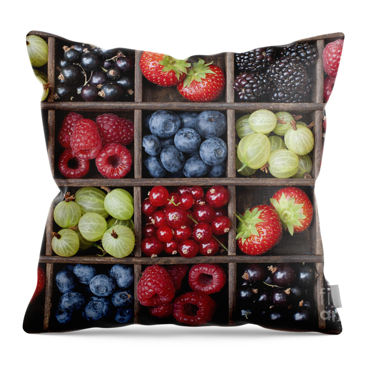 Red Throw Pillow featuring the photograph Berry Harvest by Tim Gainey