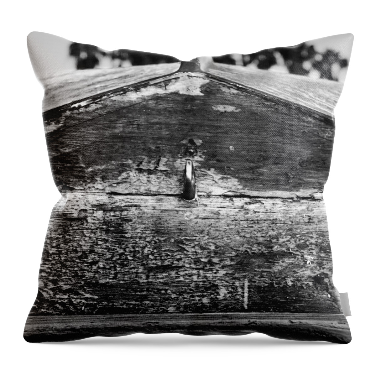 Abandond Throw Pillow featuring the photograph Better Days by Denise Dube