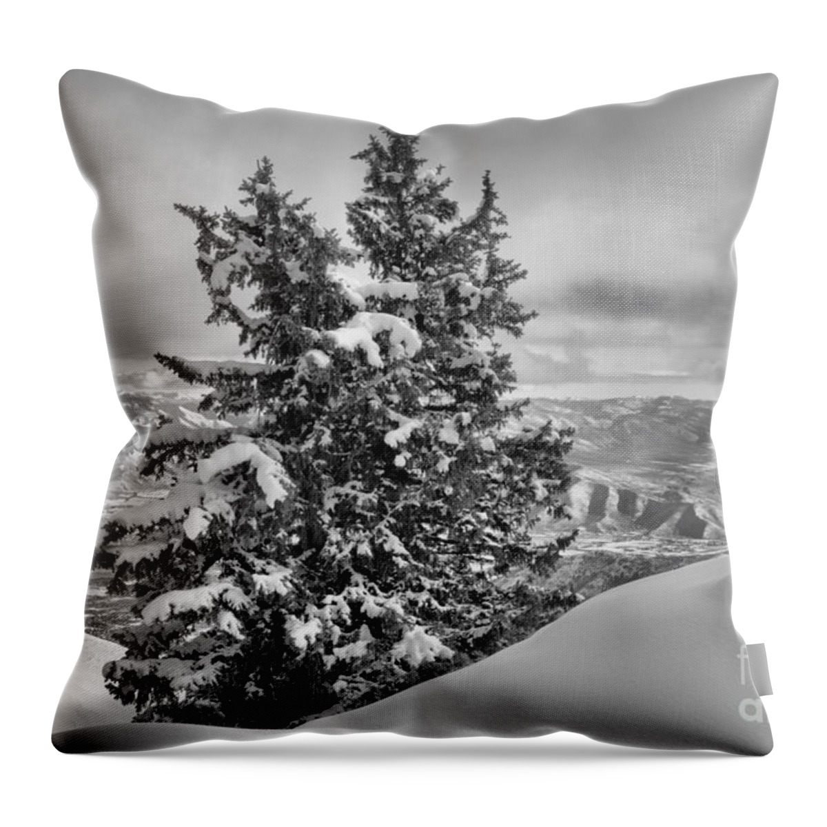 Brighton Throw Pillow featuring the photograph Between Mountains And SNow Drift Black And White by Adam Jewell