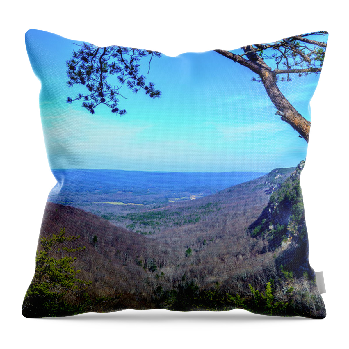 Canyon Throw Pillow featuring the photograph Between the Cliffs by James L Bartlett