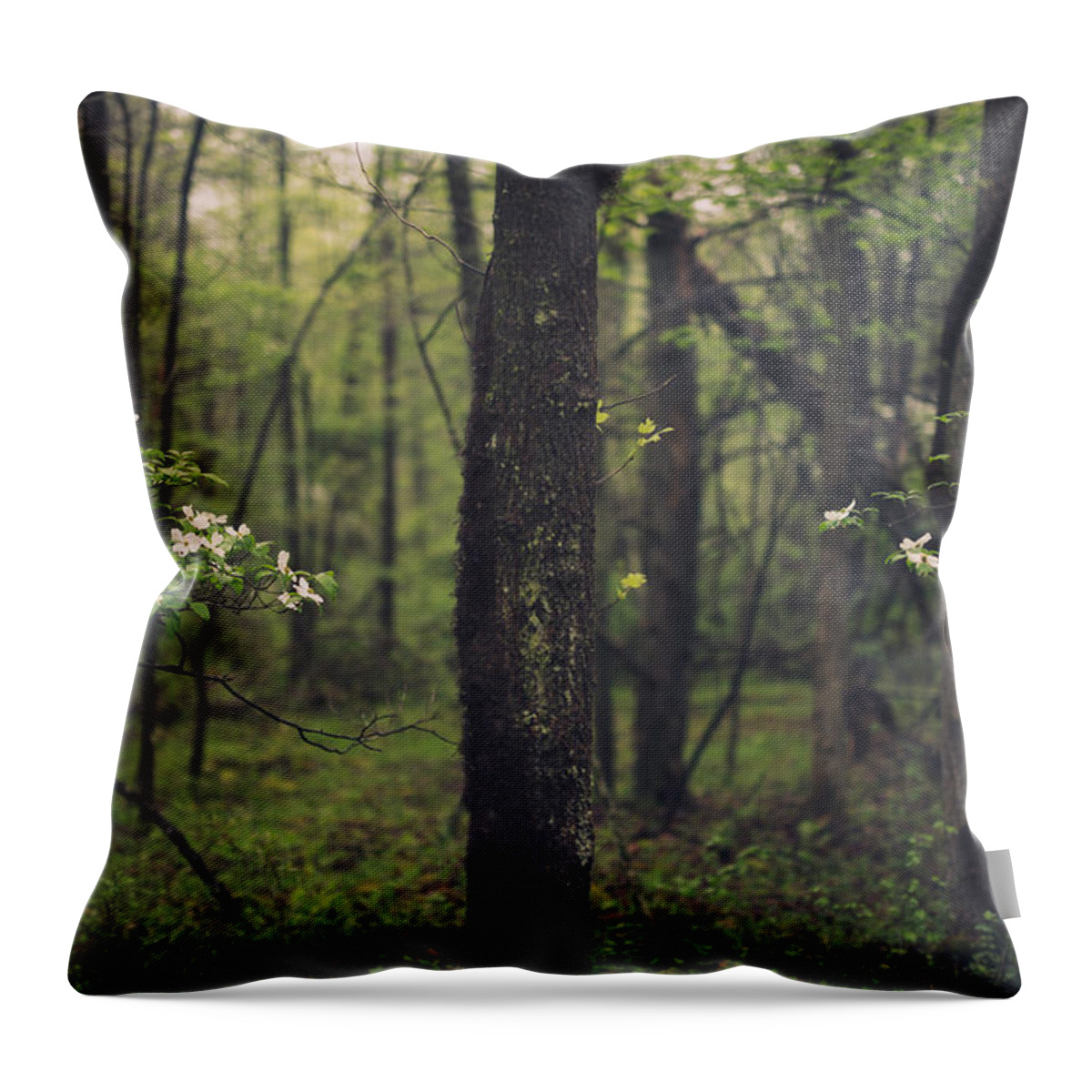 Dogwood Throw Pillow featuring the photograph Between The Dogwoods by Shane Holsclaw