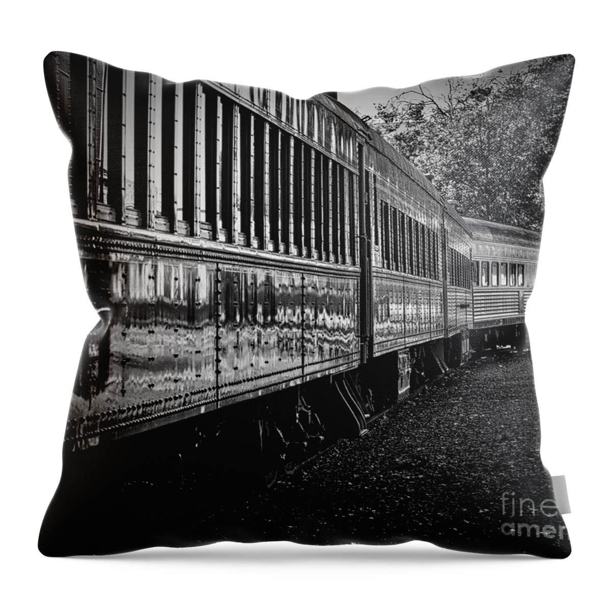 Between Trains Throw Pillow featuring the photograph Between Trains by Mitch Shindelbower