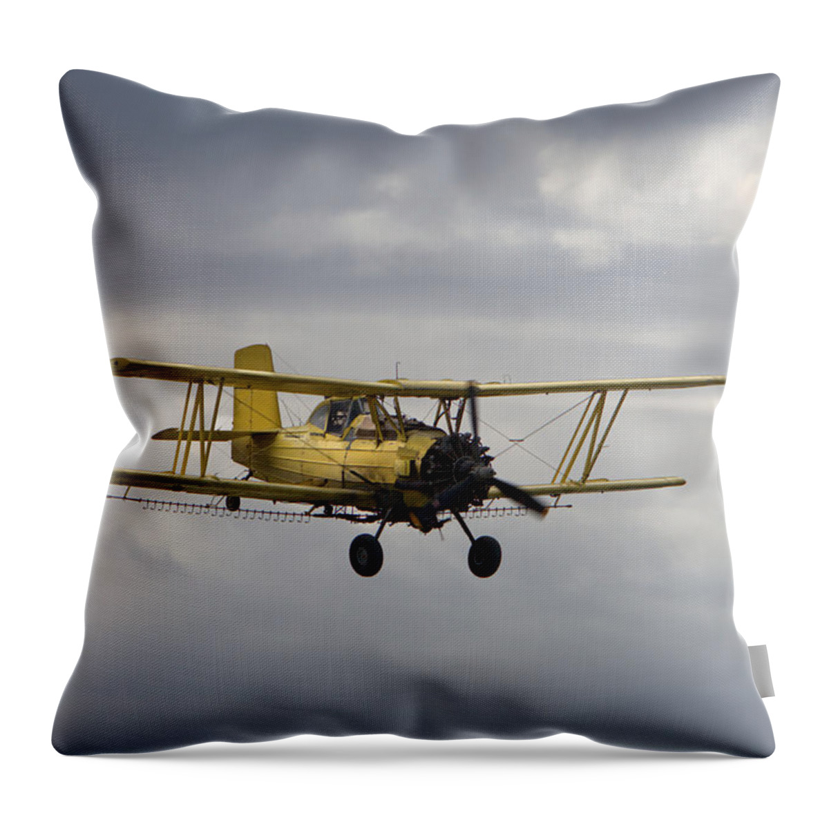 Spray Throw Pillow featuring the photograph Bi-Plane by David Andersen