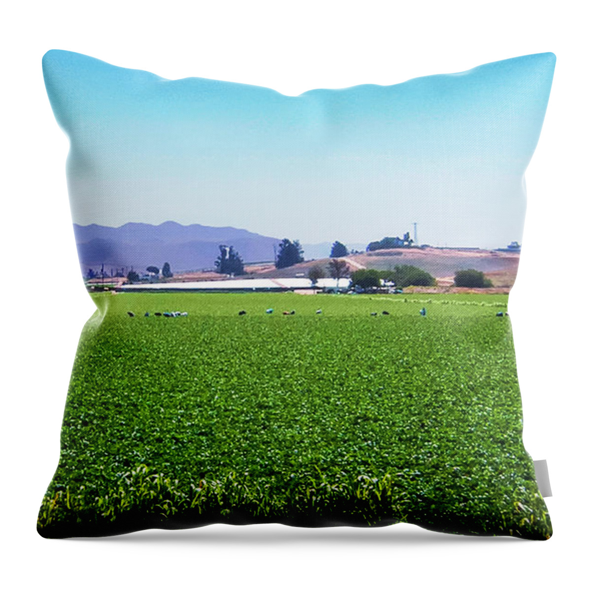 Fields Throw Pillow featuring the photograph Big Agriculture by Joseph Hollingsworth