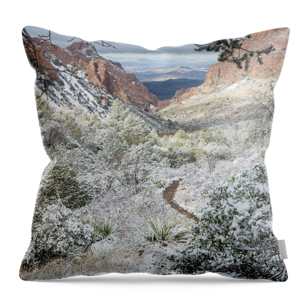 Snow Throw Pillow featuring the photograph Big Bend Window With Snow by Kathy Adams Clark
