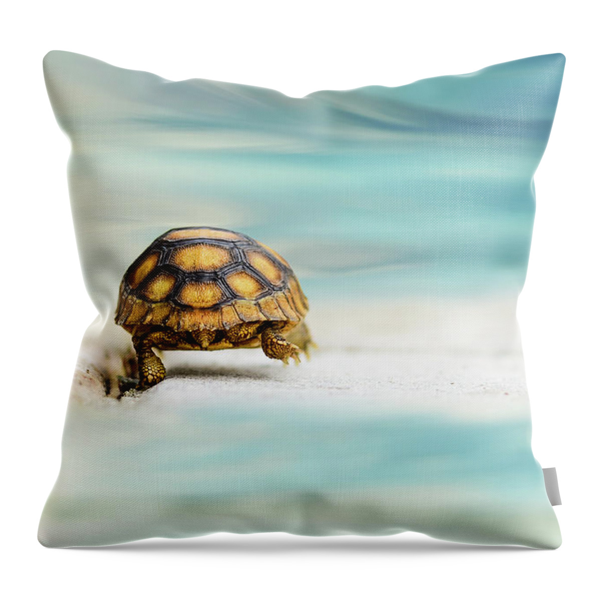 Animal Throw Pillow featuring the photograph Big Big World by Laura Fasulo