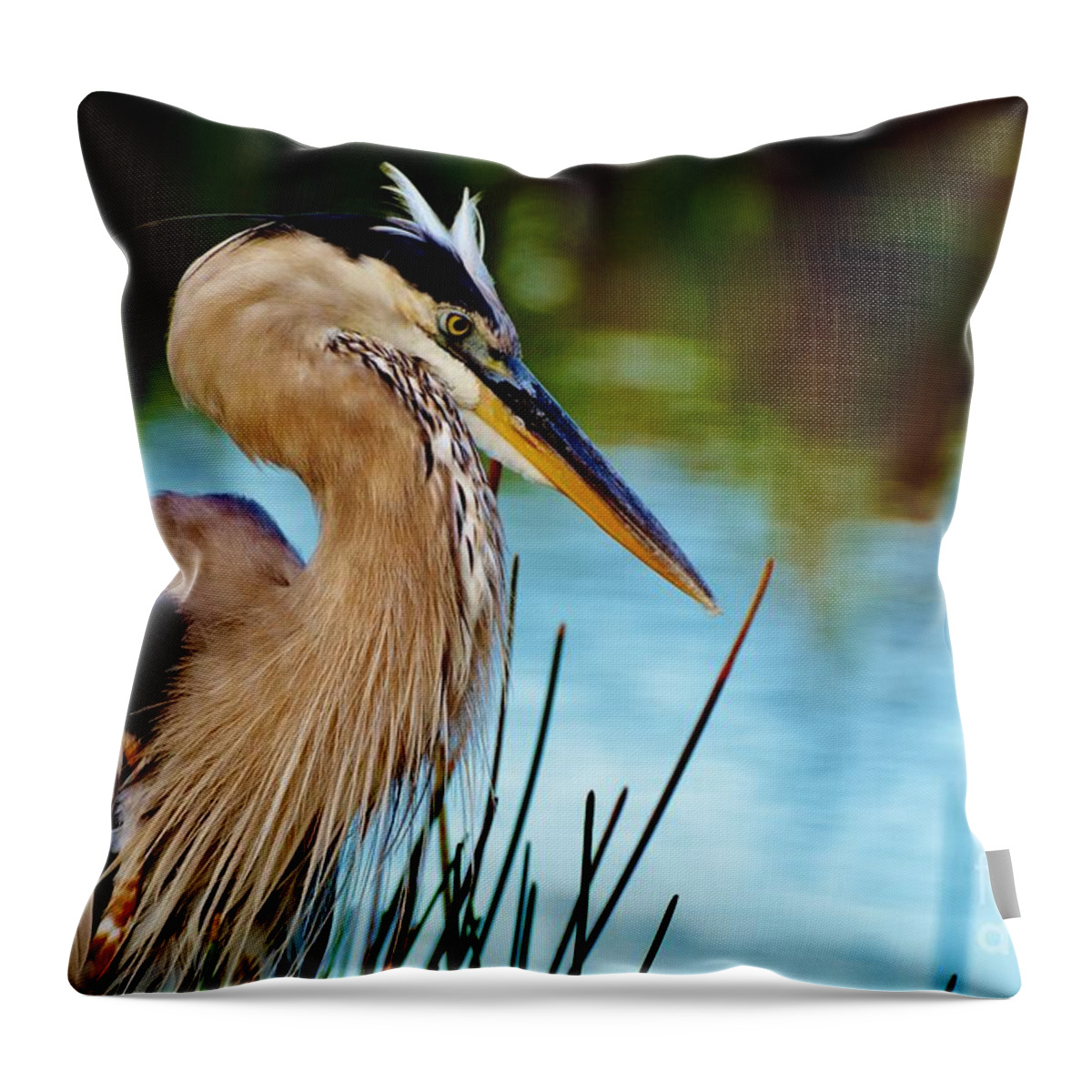 Great Blue Heron Throw Pillow featuring the photograph Big Blue 2 by Julie Adair