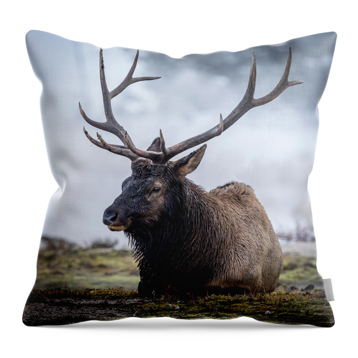 Landscape Throw Pillow featuring the photograph Big Boy by Gary Migues