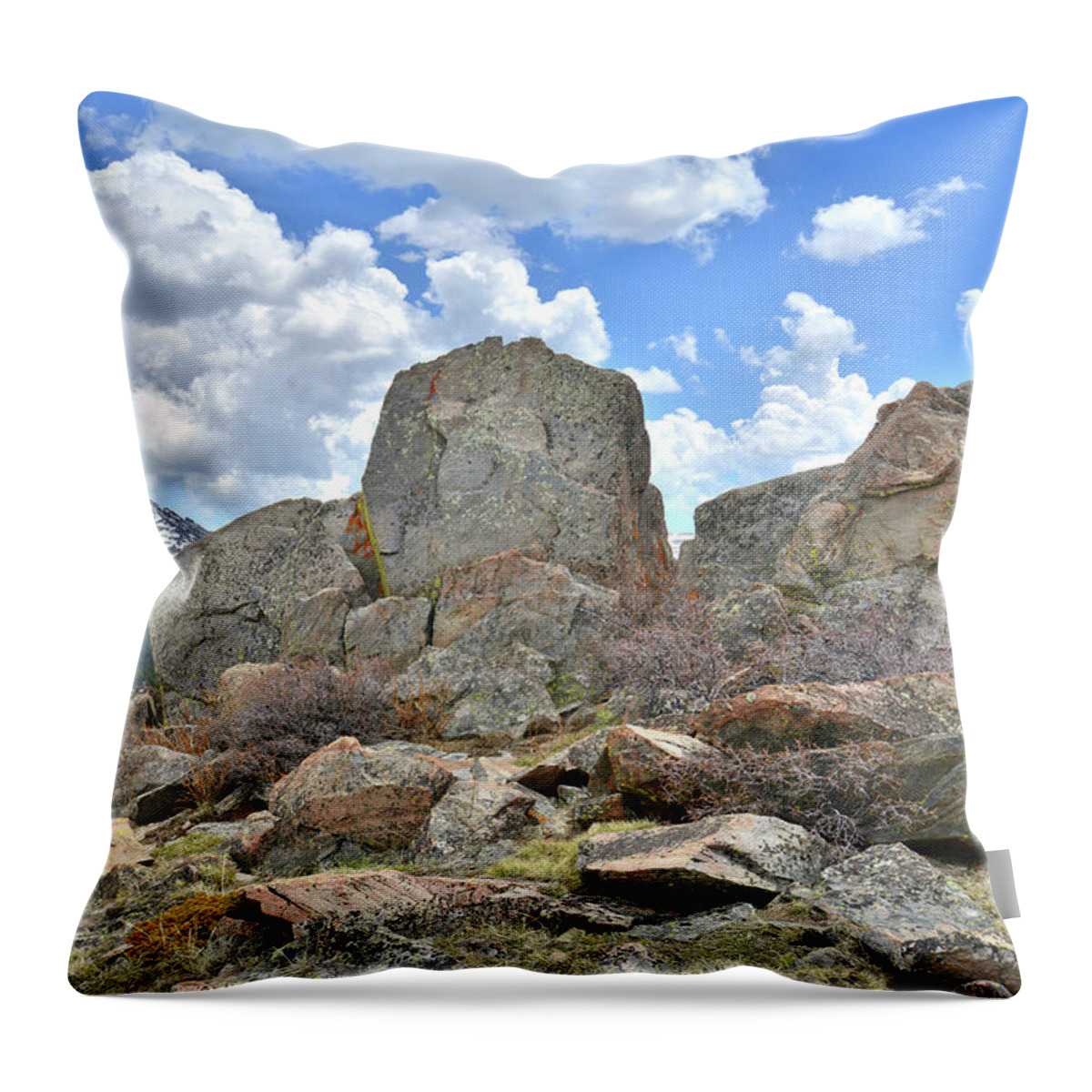 Big Horn Mountains Throw Pillow featuring the photograph Big Horn Mountains in Wyoming by Ray Mathis