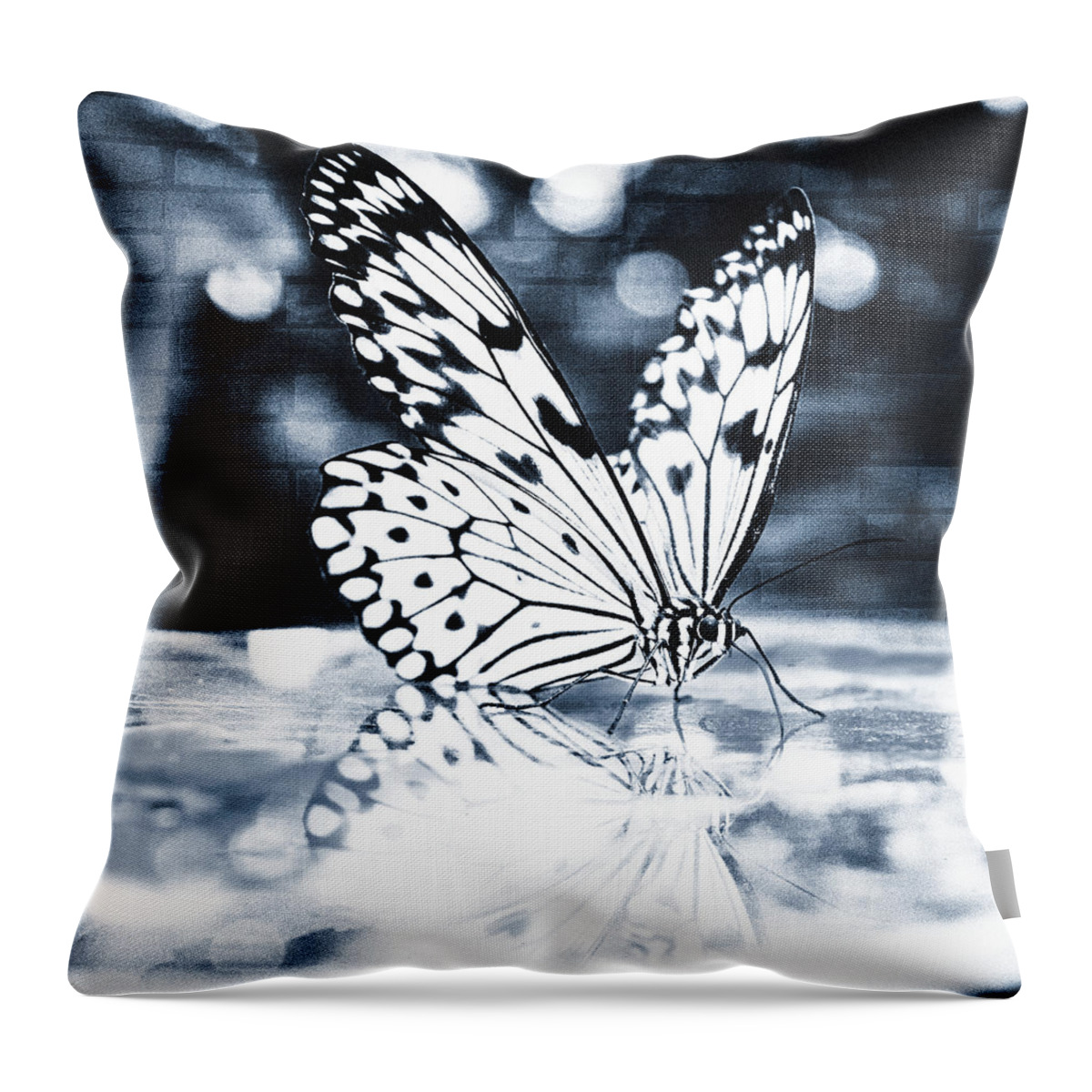 Butterfly Throw Pillow featuring the photograph Big in the city by Jaroslav Buna