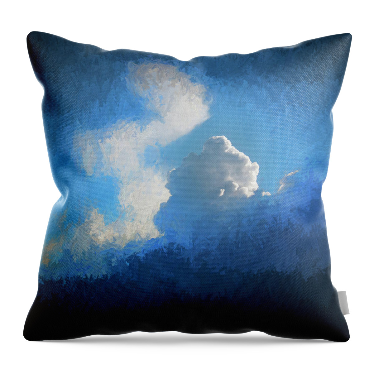 Clouds Throw Pillow featuring the photograph Big Sky by Richard Goldman