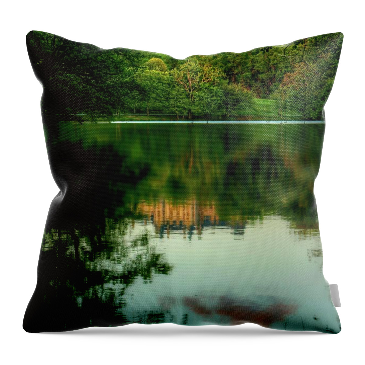 Biltmore Reflection Throw Pillow featuring the photograph Biltmore Reflection by Carol Montoya