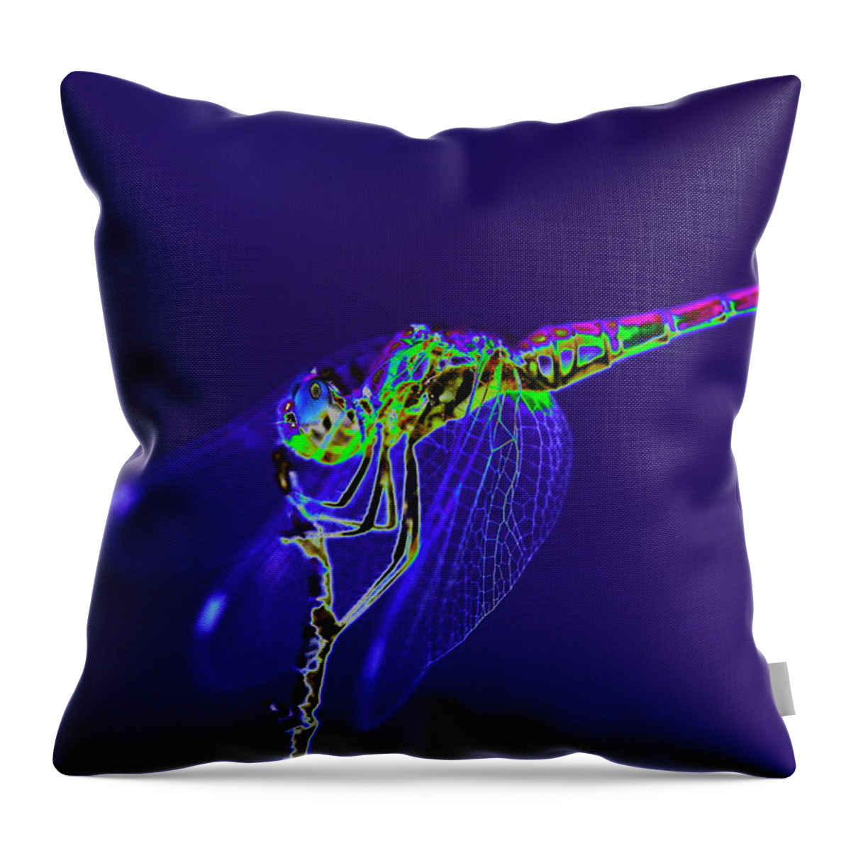  Pop Art Throw Pillow featuring the photograph Bioluminescent Dragonfly by Richard Patmore