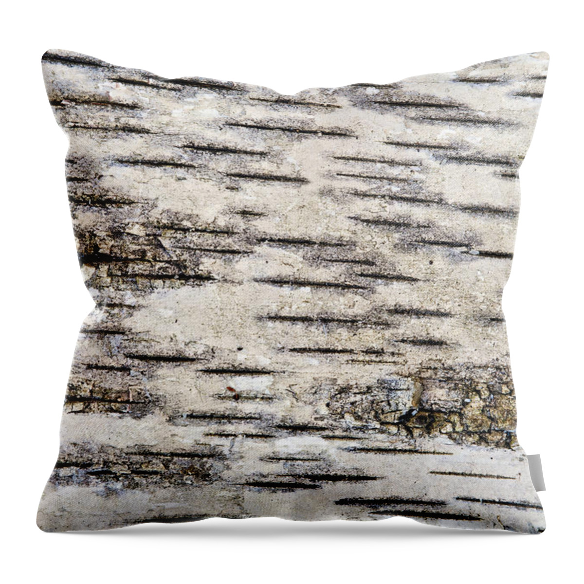 Abstract Throw Pillow featuring the photograph Birch Bark by Bill Brennan - Printscapes