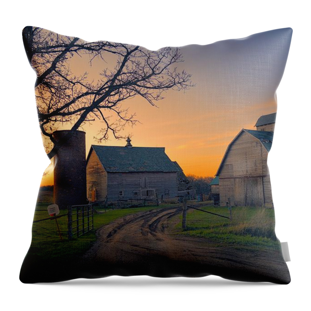 Rustic Throw Pillow featuring the photograph Birch Barn 2 by Bonfire Photography