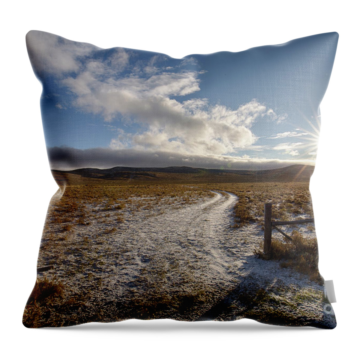Birch Creek Valley Throw Pillow featuring the photograph Birch Creek Valley Sun by Idaho Scenic Images Linda Lantzy