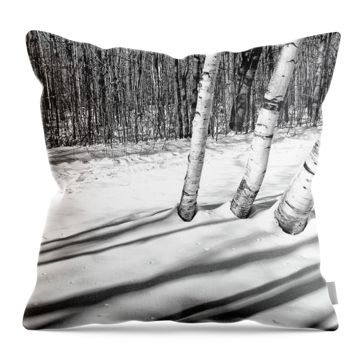 Birch Throw Pillow featuring the photograph Birches and Snow 4 BW by Mary Bedy