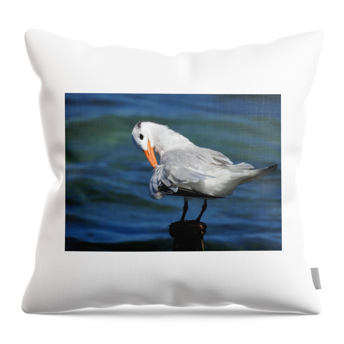 Bird Throw Pillow featuring the pyrography Bird by Cherine Usherwood