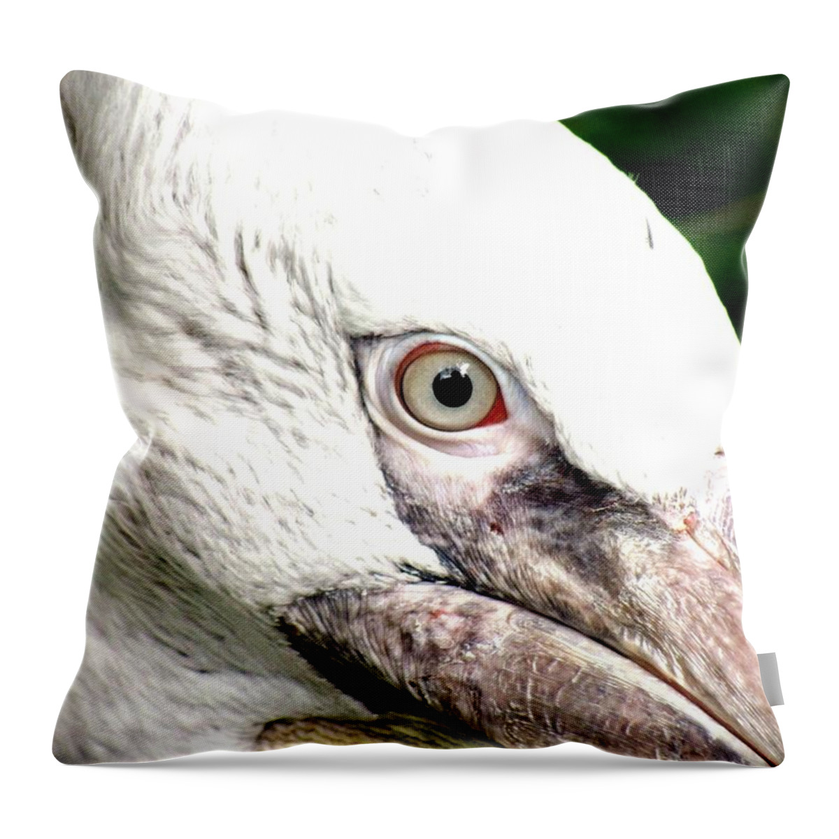 Bird Throw Pillow featuring the photograph Bird Eye View by Leah Mihuc