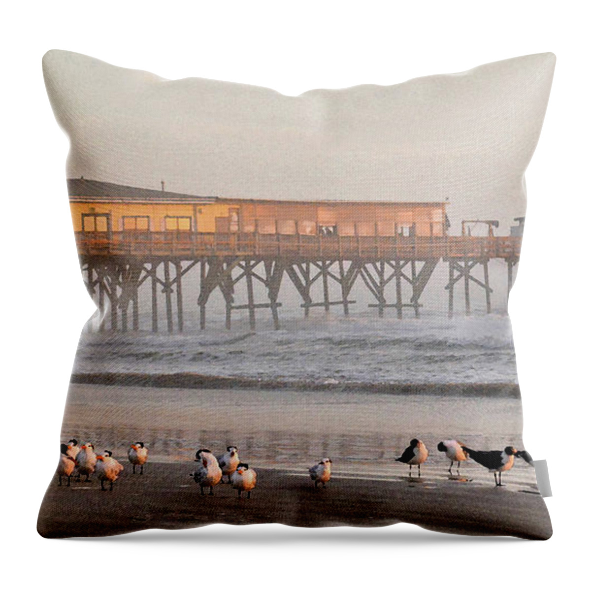 Seagulls Throw Pillow featuring the photograph Bird Families morning at Sun Glow Pier 2-11-18 by Julianne Felton