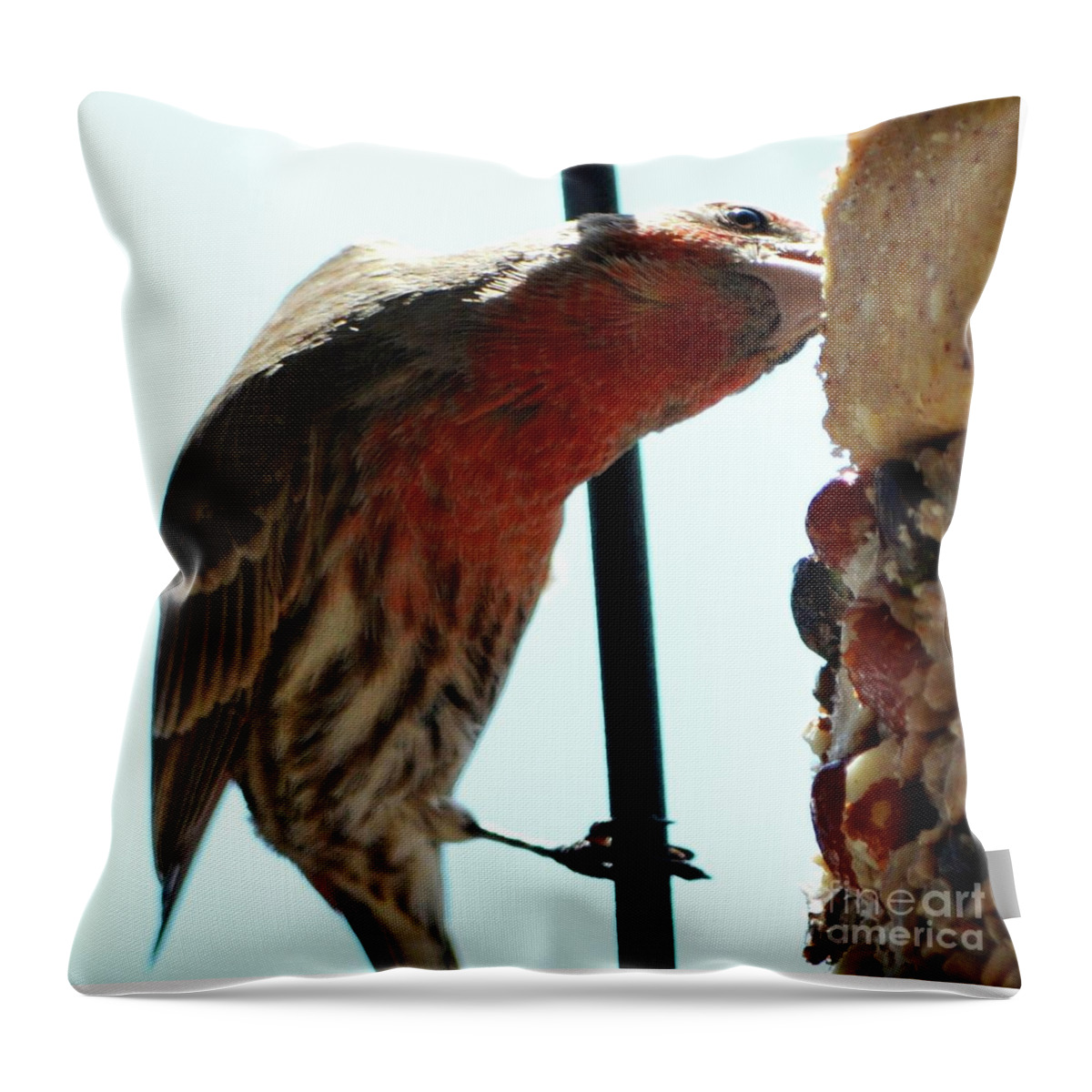 Bird Throw Pillow featuring the photograph Bird Hits the Jackpot by Cindy Schneider