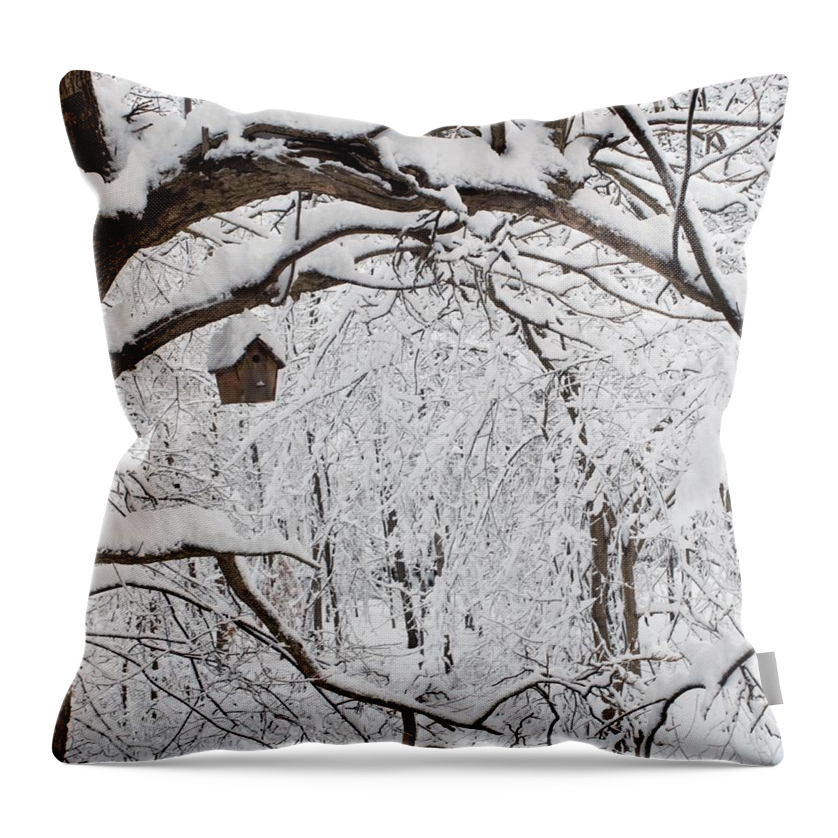 Birdhouse Throw Pillow featuring the photograph Bird House in Snow by R Allen Swezey