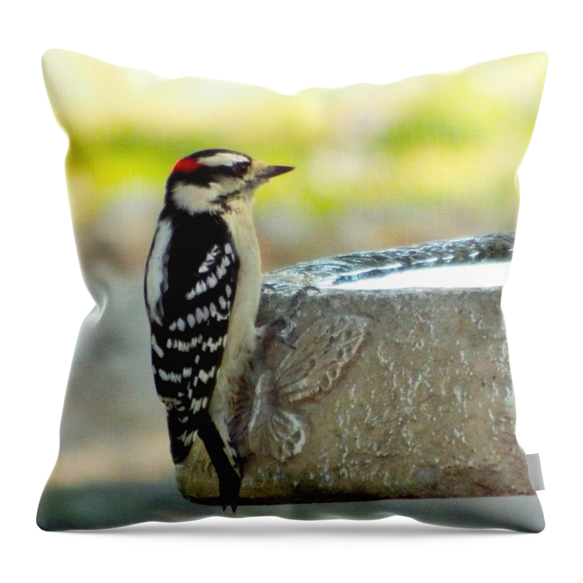 Woodpecker Throw Pillow featuring the photograph Bird in black and white and red by Michael Dillon