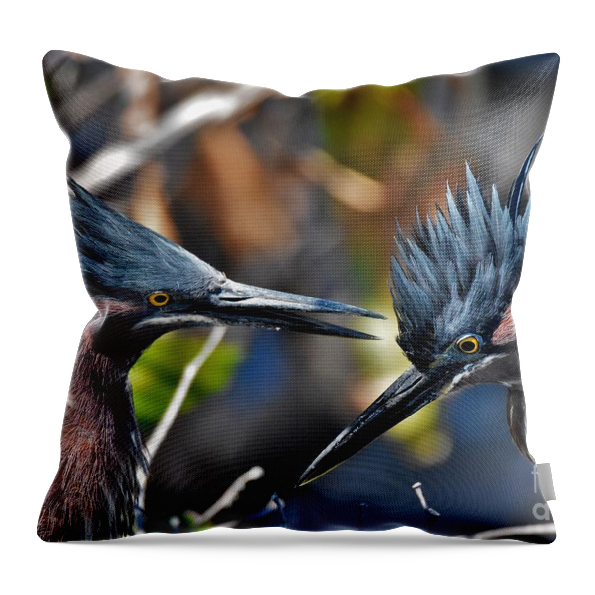 Little Green Herons Throw Pillow featuring the photograph Bird Love by Julie Adair