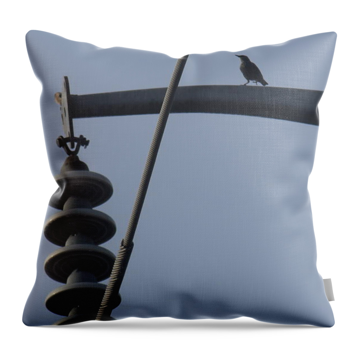 Bird Throw Pillow featuring the photograph Bird on a high wire by Sheri Simmons