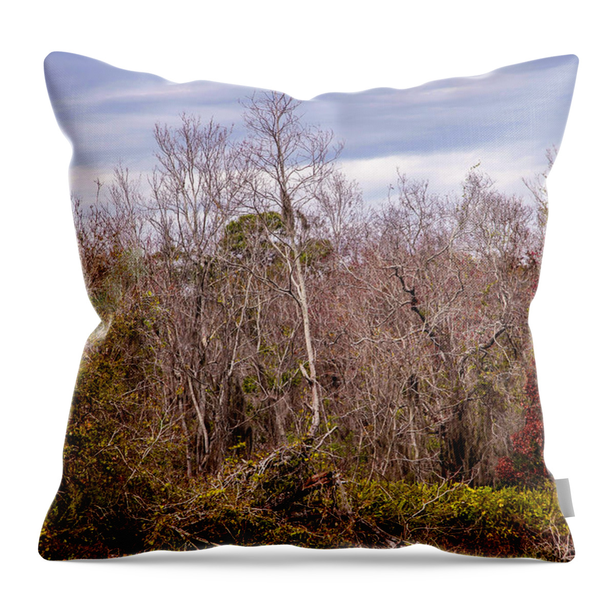 Bird Throw Pillow featuring the photograph Bird Out On A Limb 3 by Madeline Ellis