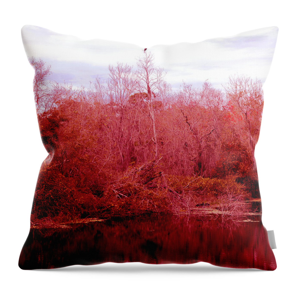 Bird Throw Pillow featuring the photograph Bird Out On A Limb by Madeline Ellis