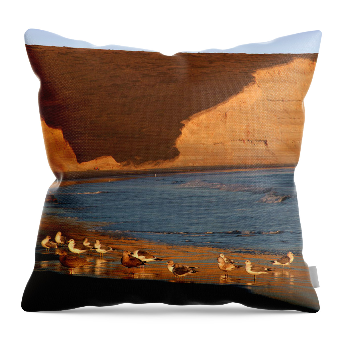 Drakes Bay Throw Pillow featuring the photograph Birds along the Point Reyes National Seashore Marin County Cal by Wernher Krutein