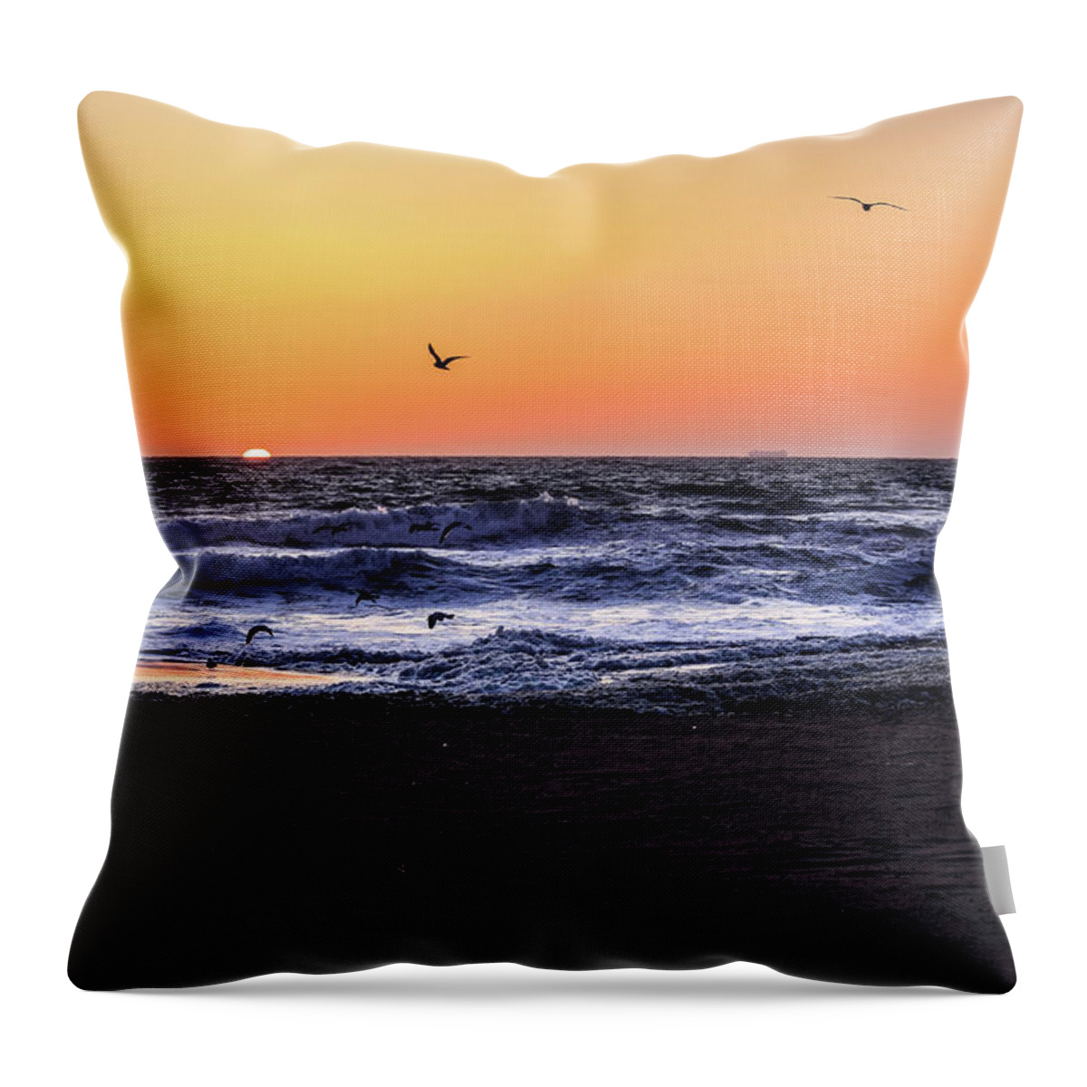 Birds Throw Pillow featuring the photograph Birds at Sunrise by Nicole Lloyd