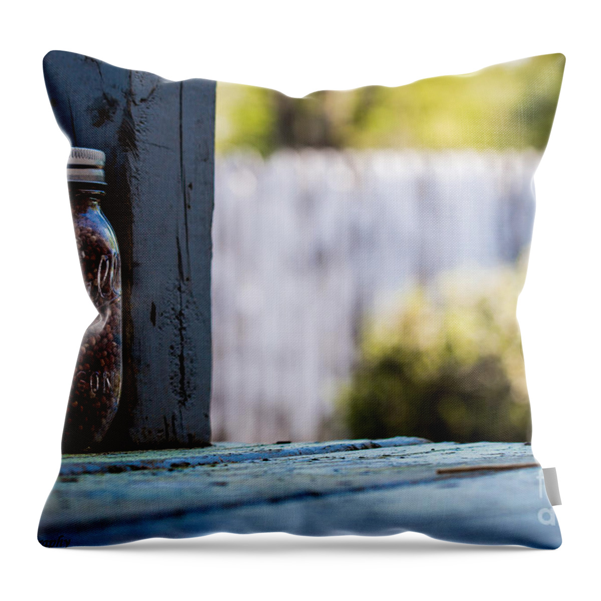 Mason Jars Throw Pillow featuring the photograph Bird's Eye view on lunch by JCV Freelance Photography LLC