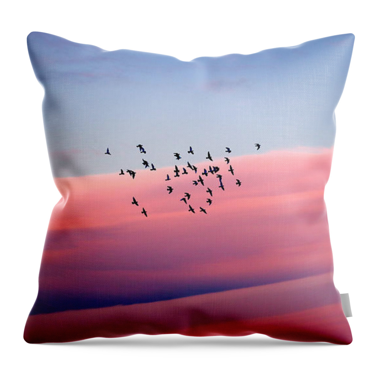 Air Throw Pillow featuring the photograph Birds migration by Anna Om