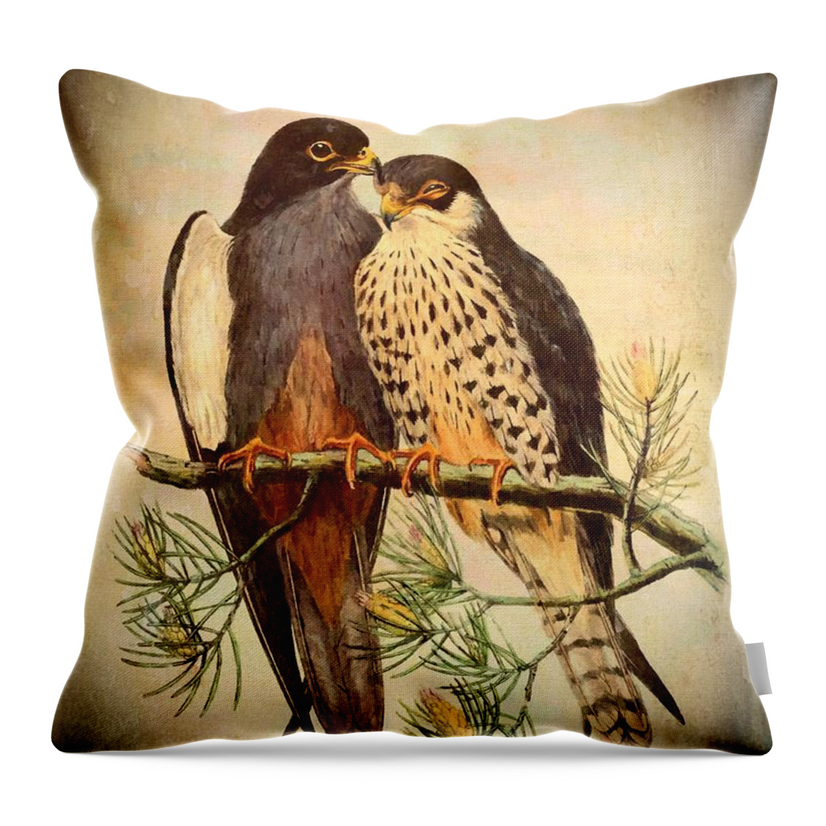 Bird Throw Pillow featuring the mixed media Birds of Prey 4 by Charmaine Zoe