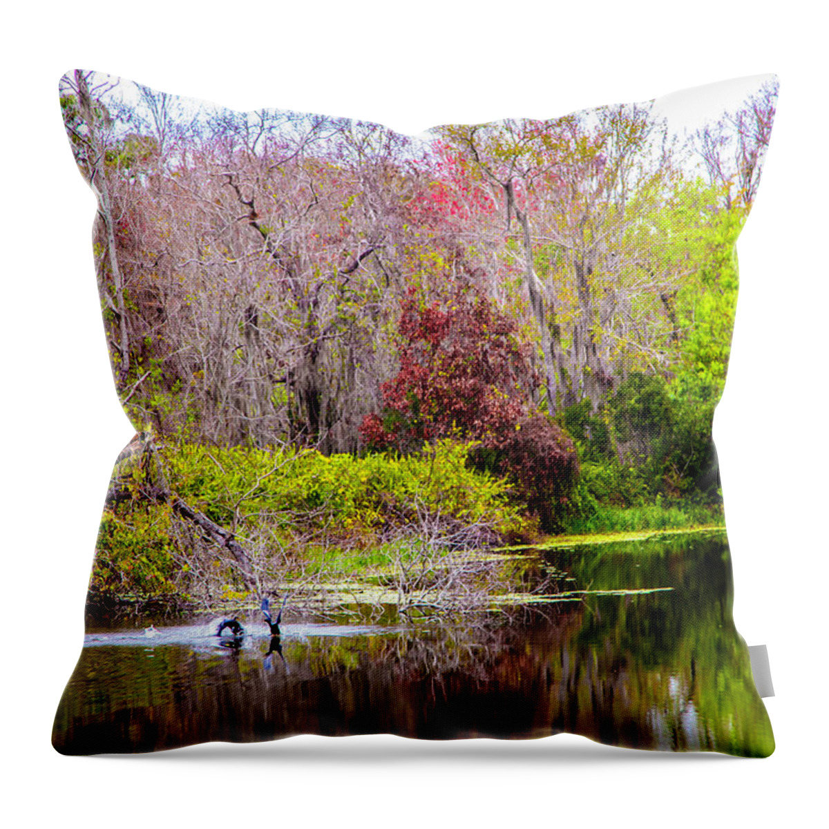 Bird Throw Pillow featuring the photograph Birds Playing In The Pond 3 by Madeline Ellis